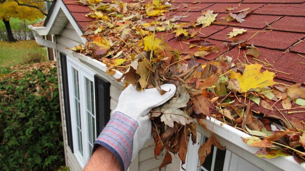 shingles roofing gutters in Brooklyn