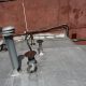 Chimney Repair